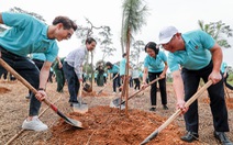 Agribank với hành trình 'Một triệu cây xanh - Thêm cây, thêm sự sống’