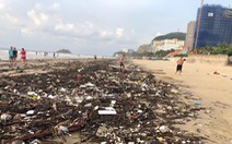 Tham tán, chuyên gia nước ngoài muốn giúp Vũng Tàu 'không rác thải nhựa'