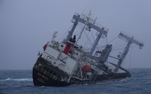 Đã cứu được 10 thuyền viên tàu hàng DONG YANG gặp nạn