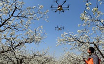 Trung Quốc dùng drone nhắc nhở người dân ra đường nhớ đeo khẩu trang