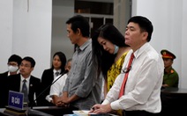 Tòa phúc thẩm giữ nguyên án phạt về tội trốn thuế với vợ chồng luật sư Trần Vũ Hải