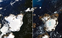 Nóng thiêu đốt Nam Cực, làm tan chảy 20% tuyết trên đảo