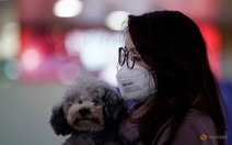 Hong Kong cách ly chó cưng của bệnh nhân nhiễm corona