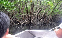 Tạm ngưng tham quan di tích, du lịch sinh thái ở Côn Đảo