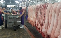 'Nếu giá thịt heo trong nước không giảm, sẽ nhập heo Mỹ, Brazil, Lào, Campuchia... '