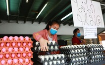 Sợ dịch COVID-19, dân Thái đi gom trữ trứng gà