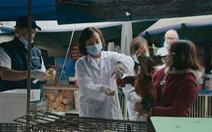 Pandemic: How to prevent an outbreak?: Những tấm khiên trước đại dịch