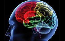 Phương pháp mới khơi gợi trí nhớ trong điều trị người bị tổn thương não bộ