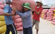 Bị nêu 'chưa làm nghiêm', Bộ Công thương muốn công khai việc mở tờ khai xuất khẩu gạo