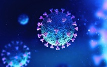Nhiều phát hiện mới đáng lo về virus corona