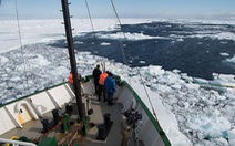 Lần đầu phát hiện hạt vi nhựa trong băng Nam Cực