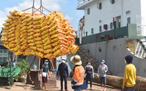 Hơn 38.000 tấn gạo được mở tờ khai hải quan trong 7 giây