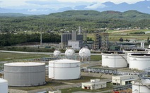 Nhà máy lọc dầu Dung Quất tính chuyện tạm dừng sản xuất