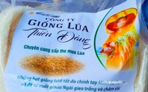 Cấm trồng giống lúa được quảng cáo 'chữa được bệnh'