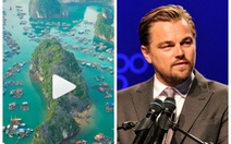Leonardo DiCaprio đăng video về vịnh Lan Hạ, đạt hơn 1 triệu lượt xem