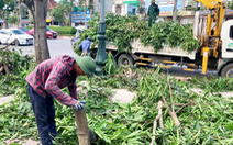 Nắng nóng, dời hàng trăm cây xanh làm mương thoát nước là ‘có bất cập’