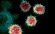 Tìm thấy xúc tu nguy hiểm trong cấu tạo của virus gây COVID-19