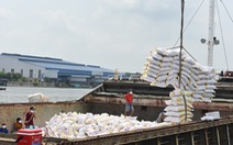 80.000 tấn gạo miễn thuế sẽ được xuất khẩu vào EU mỗi năm