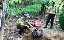 Bò tót 200kg bị lâm tặc hạ sát trong Vườn quốc gia Cát Tiên