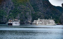 Hạ Long, Lan Hạ 'ngăn sông cấm chợ': Lợi ích cục bộ gây lãng phí tài nguyên quốc gia