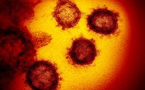 Thụy Sĩ phát hiện virus SARS-CoV-2 trong da người