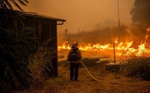 Sét đánh gây 560 đám cháy rừng khắp California, cứu hỏa chật vật vì thiếu người