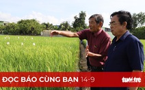 Đọc báo cùng bạn 14-9: Gạo Việt đừng mải mê sản lượng