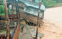 Nhà cửa đổ sập, trâu bò chết trôi tại Tây Giang do bão số 5