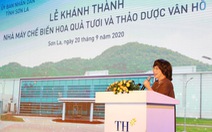 'Tiếp sức' cho Tây Bắc bằng chuỗi dự án xanh của TH