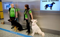 Sân bay ở Phần Lan: dùng chó đánh hơi phát hiện người mắc COVID-19