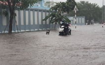 Cây bật gốc đổ ngang đường Nguyễn Tri Phương làm 1 người bị thương, ngập và kẹt xe nhiều nơi