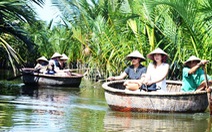 Quảng Nam rút tờ trình chuyển đổi 1ha rừng dừa nước Cẩm Thanh làm khu đô thị
