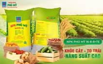 NPK Phú Mỹ tăng trưởng vượt bậc