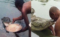 Cá sấu ‘quy y' trong đền Ấn Độ, ăn chay suốt 70 năm