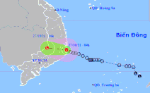 Áp thấp nhiệt đới đổ bộ Khánh Hòa, Nam Trung Bộ và Tây Nguyên có nơi mưa trên 200mm