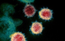 Biến thể virus corona 'có thể làm giảm hiệu quả vắc xin' xuất hiện rồi tuyệt chủng?