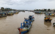 Từ 5-10, doanh nghiệp đảm bảo '3 tại chỗ' mới được hoạt động trong cảng cá Phan Thiết
