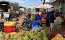 Nông dân ngại đầu tư vụ mới