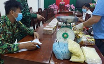 Hai người Campuchia lái xe chở xoài chứa 24kg ma túy vào Long An