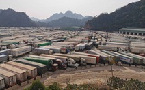 Thiệt hại hàng nghìn tỉ đồng vì nghẽn container, đề xuất đàm phán cấp cao