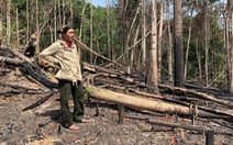 Mở rộng điều tra vụ án 'làm ngơ cho lâm tặc phá rừng' tại Đắk Lắk