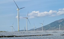 Bộ Công thương: Cắt giảm điện tái tạo là 'bắt buộc', không phân biệt nhà đầu tư