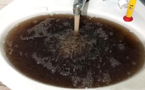Người dân Nha Trang tá hỏa vì nước sinh hoạt đen như cà phê