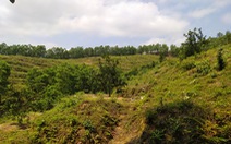 Vụ giao, ‘mượn’ đất rừng sai quy định ở Hà Tĩnh: Kỷ luật nhiều cán bộ xã