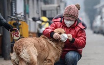 Nga đăng ký vaccine ngừa COVID-19 đầu tiên trên thế giới dành cho thú cưng