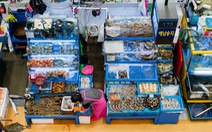 Nhà buôn cá Hàn phản đối Nhật xả 1 tỉ tấn nước thải Fukushima ra biển