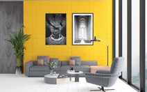 Ứng dụng đa dạng của bộ sưu tập gạch Colour trong trang trí nội thất