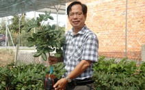 Tiến sĩ nông học rời trường, về quê giúp dân ghép cây, 'chuyển giới' cho hoa