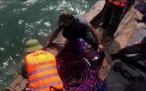 Tàu cá Quảng Ngãi dùng kích điện tận diệt hải sản trên vùng biển Quảng Bình