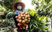 Phó thủ tướng yêu cầu tăng cường hỗ trợ, tiêu thụ nông sản cho Bắc Giang